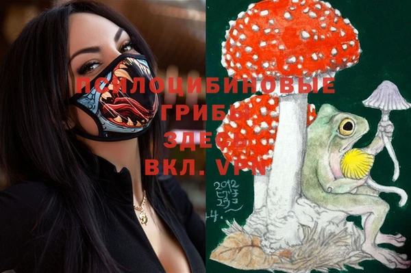 синтетический гашиш Алексеевка