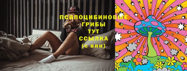 прущая мука Алзамай