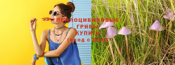 прущая мука Алзамай