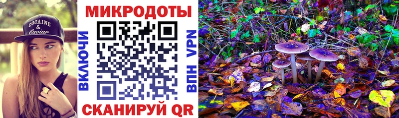 Галлюциногенные грибы MAGIC MUSHROOMS  Талица 